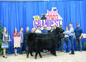 Reserve Grand Champion Owned Cow-calf Pair