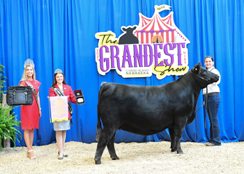 Bred-and-owned Reserve Senior Champion Female
