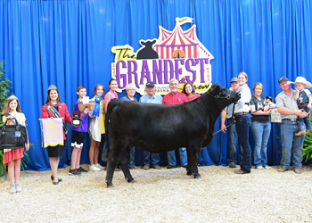 PGS Reserve Heifer Division 4