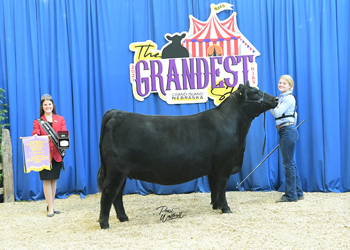 Reserve Early Senior Champion Female