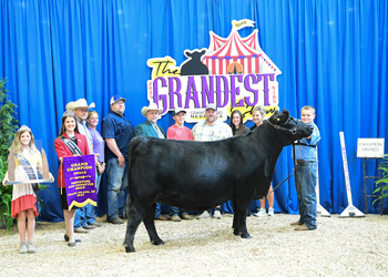 Grand Champion PGS Female