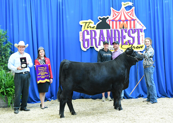 PGS Heifer Division 3
