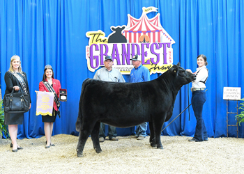 Owned Reserve Junior Champion Heifer--division 5