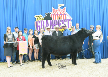 Fourth Overall Owned Champion Female