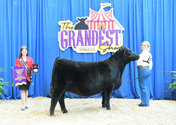 Reserve Late Senior Champion Female