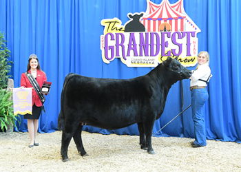 Late Senior Champion Female