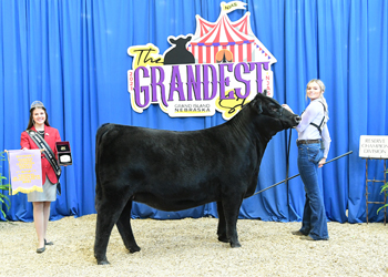 Owned Reserve Junior Champion Heifer--division 1