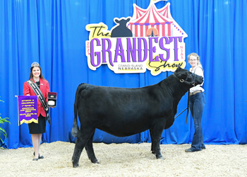 PGS Heifer Division 2