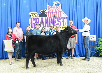 Owned Reserve Junior Champion Heifer--division 2
