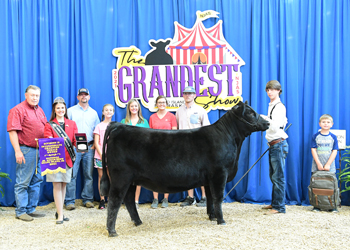 Intermediate Champion Heifer - Division 2