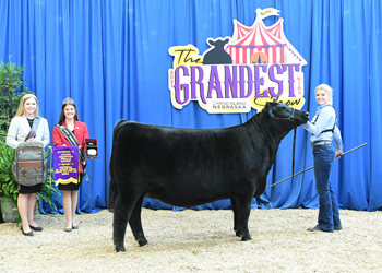 Junior Champion Heifer - Division 6