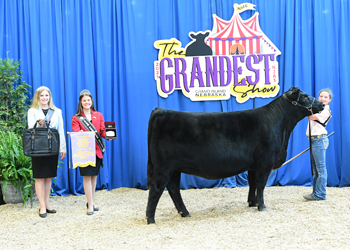 Reserve Junior Champion Heifer - Division 6