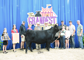 Fifth Overall Bred-and-owned Champion Female