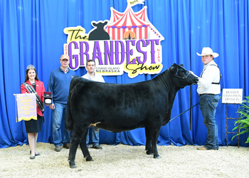 PGS Reserve Heifer Division 3