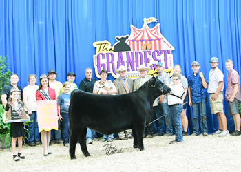Third Overall Bred-and-owned Champion Female