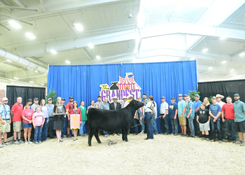 Fifth Overall Owned Champion Female