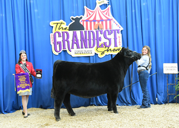 Owned Junior Champion Heifer--division 1