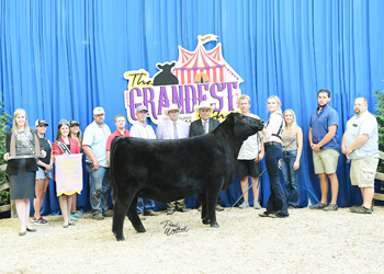 Reserve Grand Champion Owned Female
