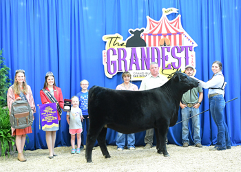 Bred-and-owned Late Junior Champion Heifer