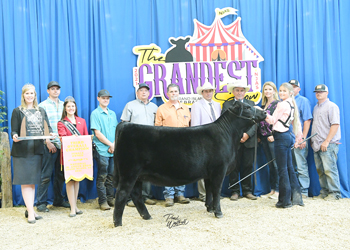 Third Overall Owned Champion Female