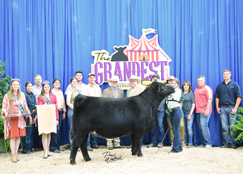 Fourth Overall Bred-and-owned Champion Female