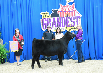 PGS Reserve Heifer Division 1