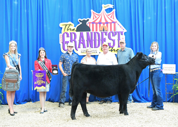 Junior Heifer Calf Champion - Division 2
