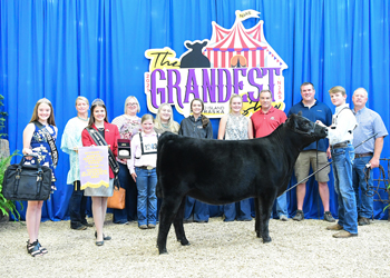 Reserve Junior Heifer Calf Champion - Division 1