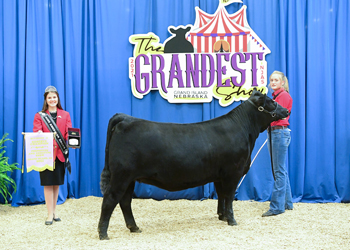 PGS Reserve Heifer Division 2