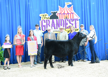 Reserve Grand Champion Bred-and-owned Female