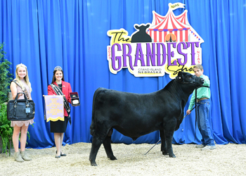 Bred-and-owned Reserve Bull Calf Champion