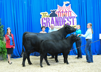 Owned Cow-calf Class 5