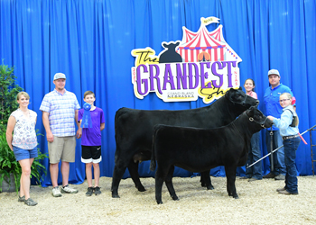 Owned Cow-calf Class 2