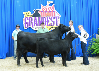Owned Cow-calf Class 3