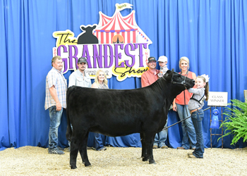 Owned Heifer Class 32