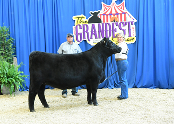 Owned Heifer Class 49