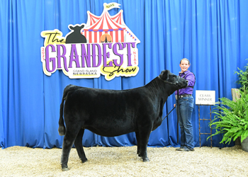 Owned Heifer Class 20