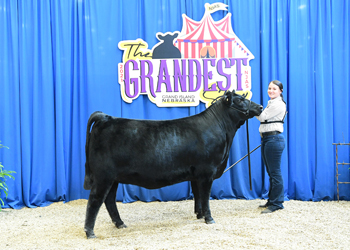 Owned Heifer Class 44