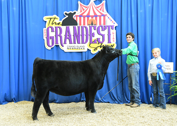 Owned Heifer Class 26