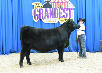 Owned Heifer Class 43