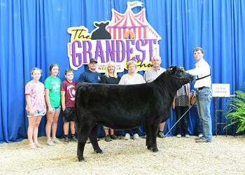 Owned Heifer Class 24