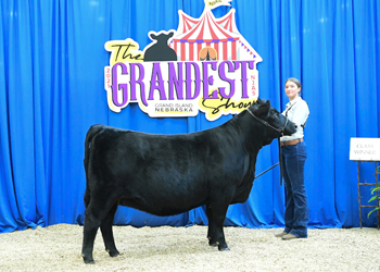 PGS Heifer Class 6