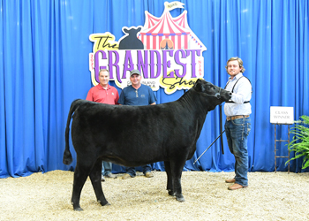 Owned Heifer Class 25