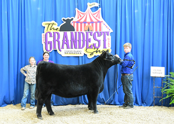 Owned Heifer Class 22