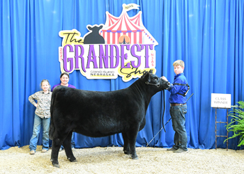 Owned Heifer Class 22