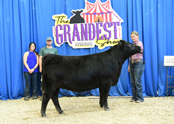 Owned Heifer Class 34