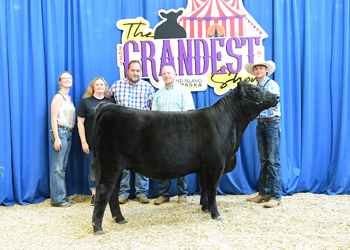 Owned Heifer Class 14