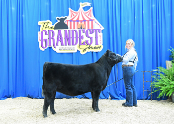 Owned Heifer Class 5