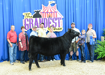 Owned Heifer Class 17