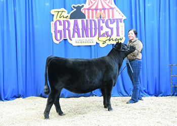 Owned Heifer Class 8